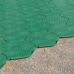 BERGO-12