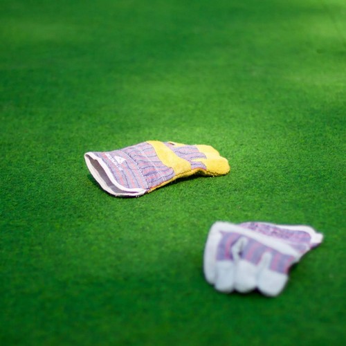 LEISUREGRASS-6