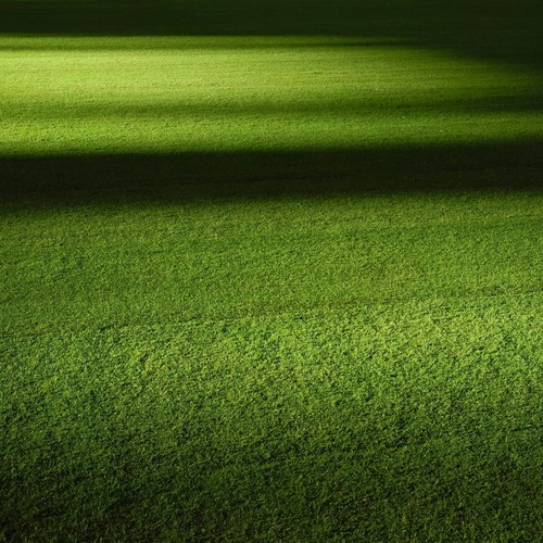 LEISUREGRASS-1